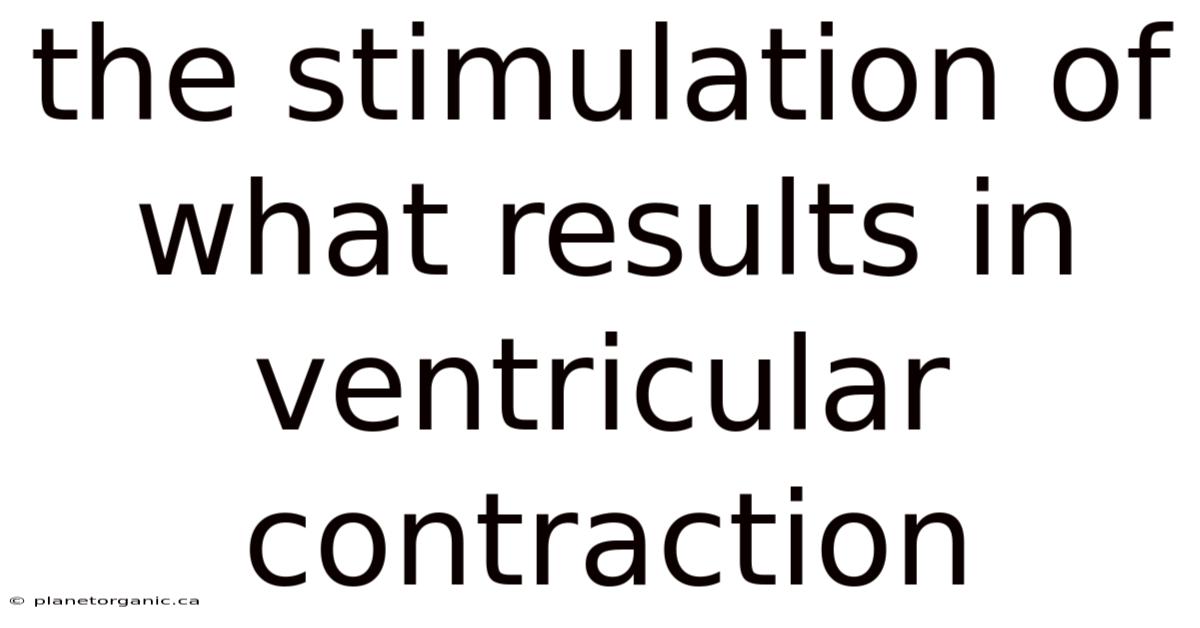 The Stimulation Of What Results In Ventricular Contraction