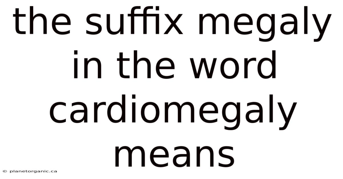 The Suffix Megaly In The Word Cardiomegaly Means