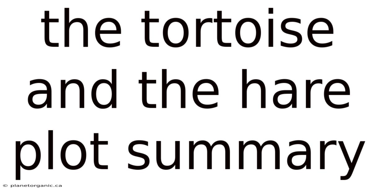 The Tortoise And The Hare Plot Summary