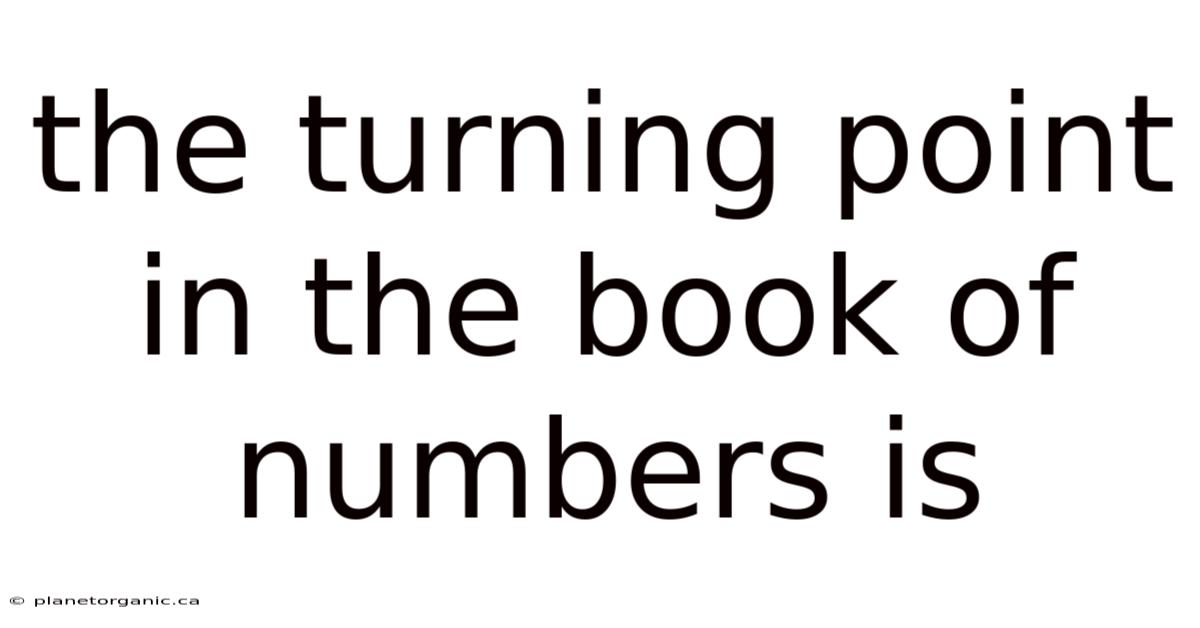 The Turning Point In The Book Of Numbers Is