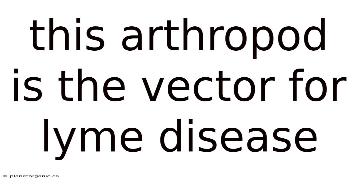 This Arthropod Is The Vector For Lyme Disease