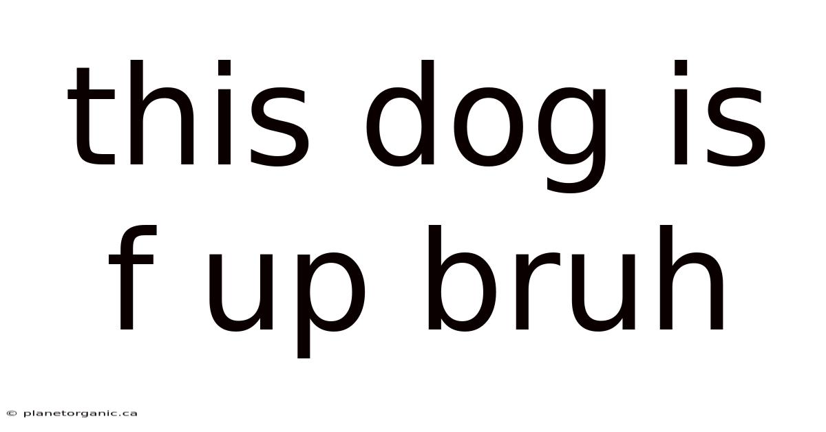 This Dog Is F Up Bruh