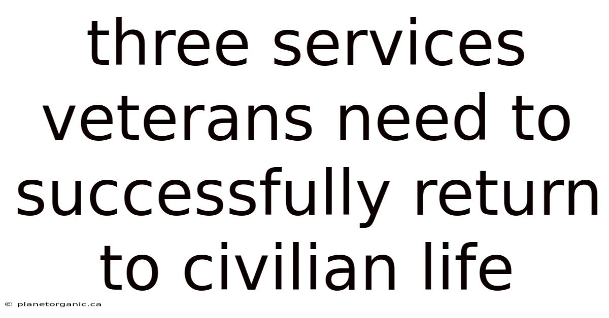 Three Services Veterans Need To Successfully Return To Civilian Life