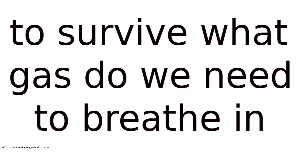 To Survive What Gas Do We Need To Breathe In