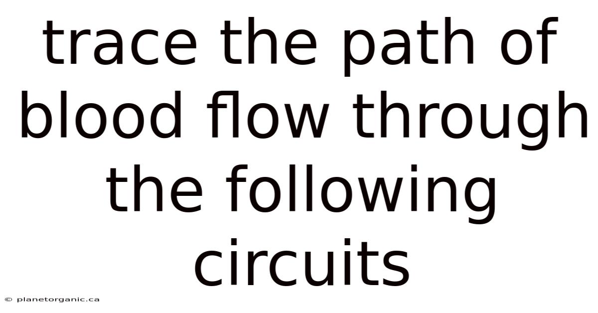 Trace The Path Of Blood Flow Through The Following Circuits