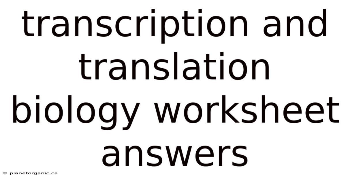 Transcription And Translation Biology Worksheet Answers