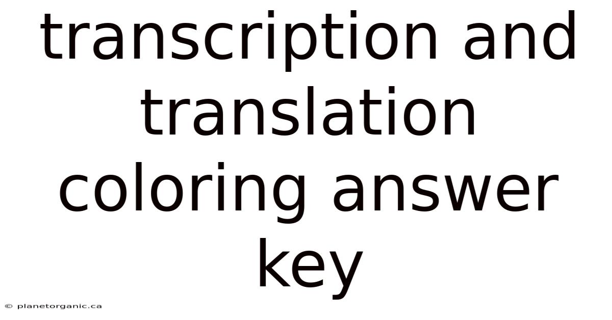 Transcription And Translation Coloring Answer Key