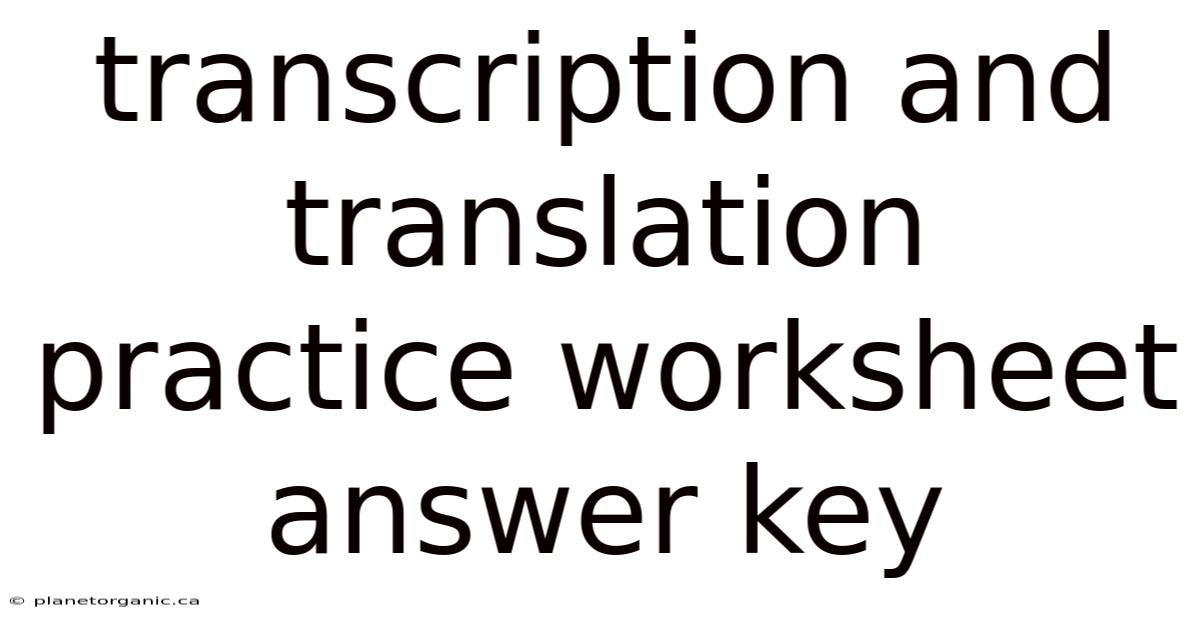 Transcription And Translation Practice Worksheet Answer Key