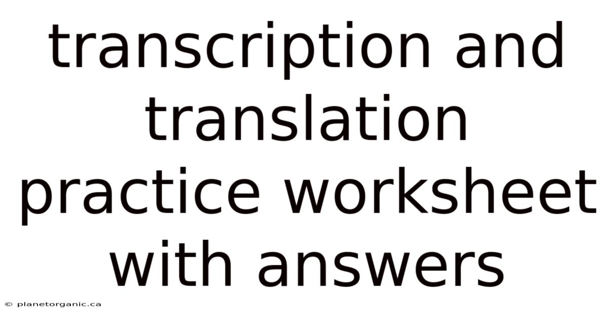 Transcription And Translation Practice Worksheet With Answers