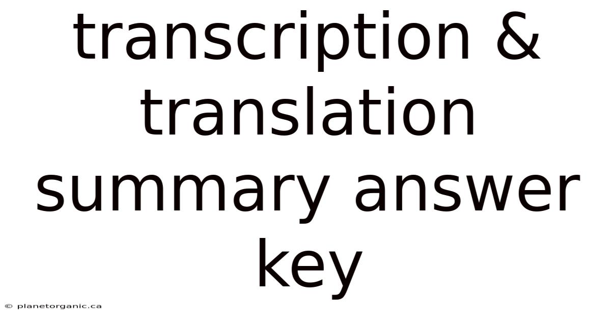 Transcription & Translation Summary Answer Key