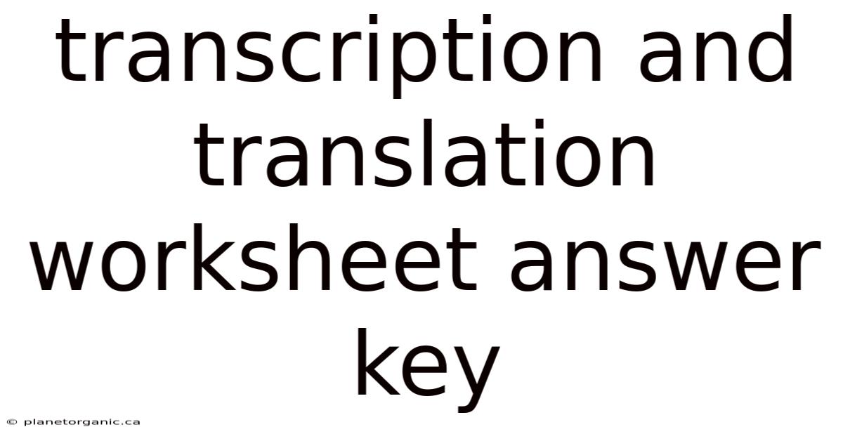 Transcription And Translation Worksheet Answer Key