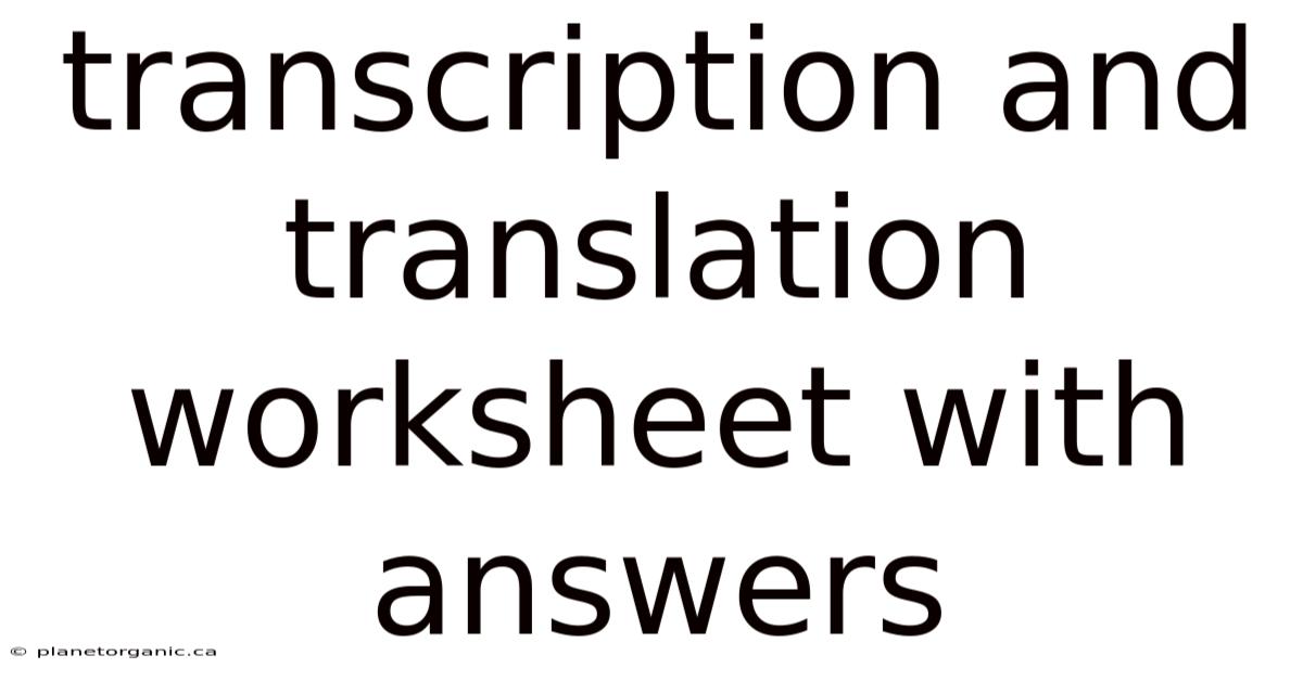 Transcription And Translation Worksheet With Answers