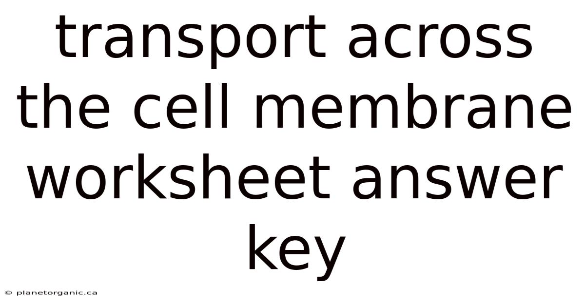 Transport Across The Cell Membrane Worksheet Answer Key