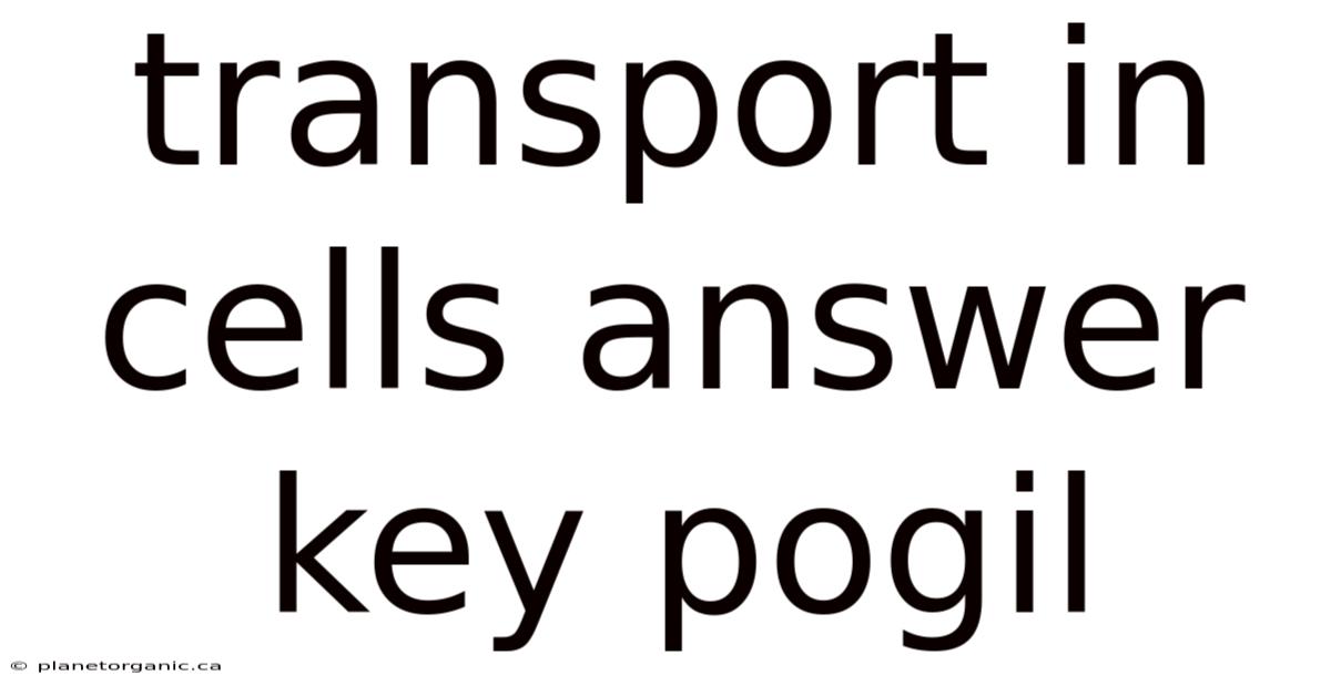 Transport In Cells Answer Key Pogil