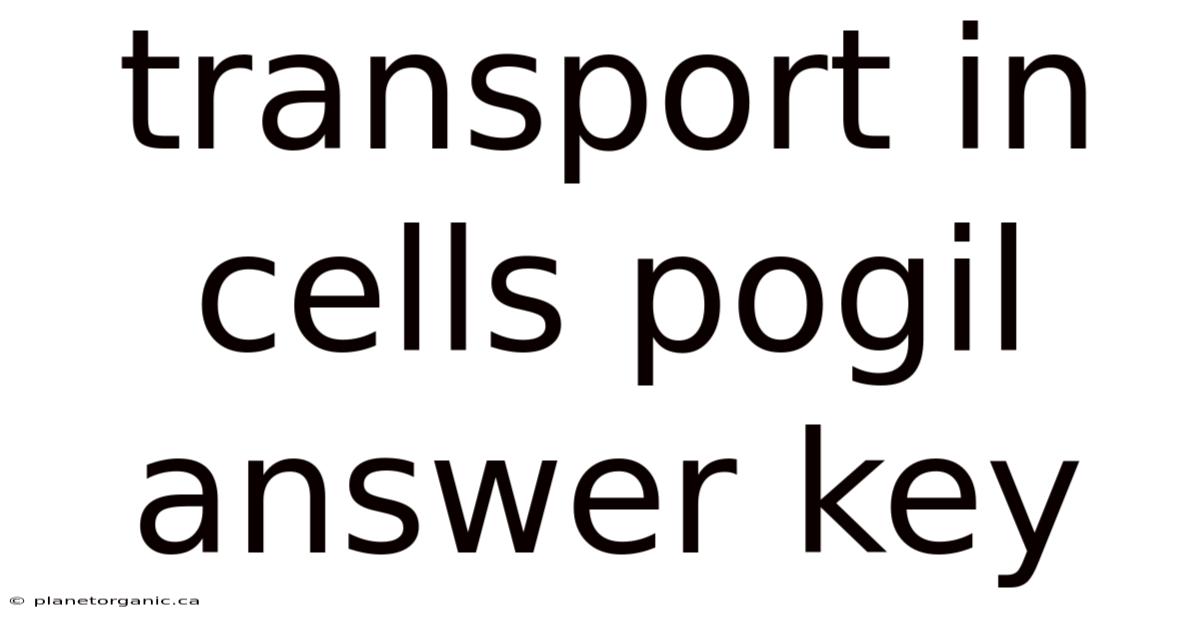 Transport In Cells Pogil Answer Key