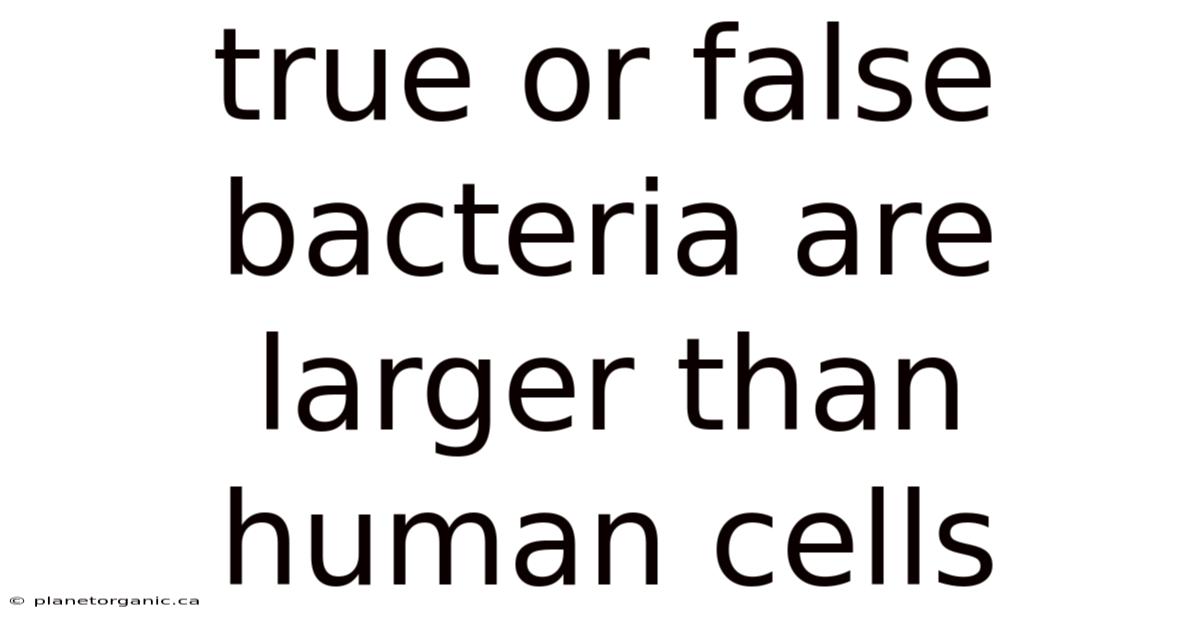 True Or False Bacteria Are Larger Than Human Cells
