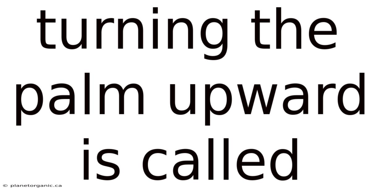 Turning The Palm Upward Is Called