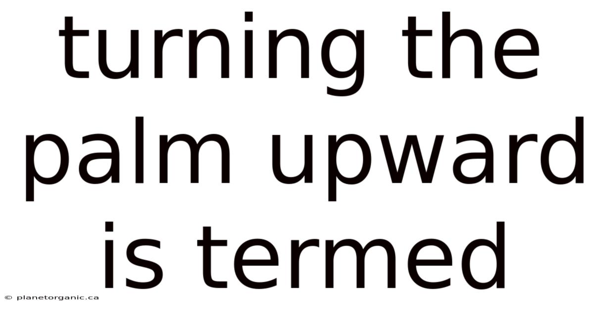 Turning The Palm Upward Is Termed