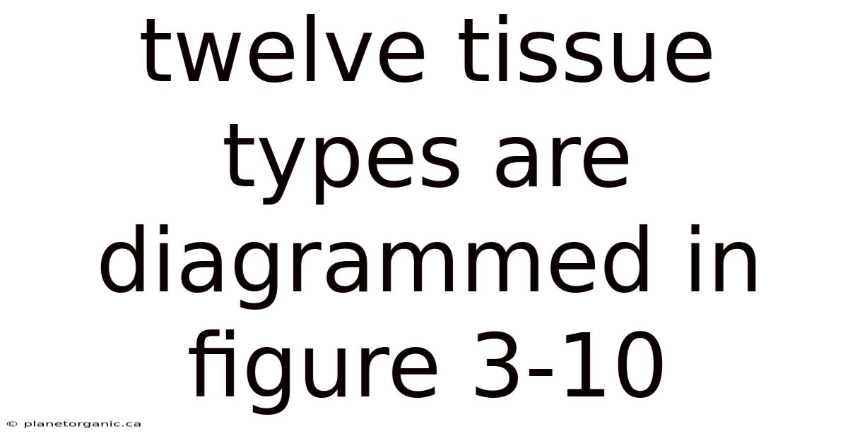 Twelve Tissue Types Are Diagrammed In Figure 3-10