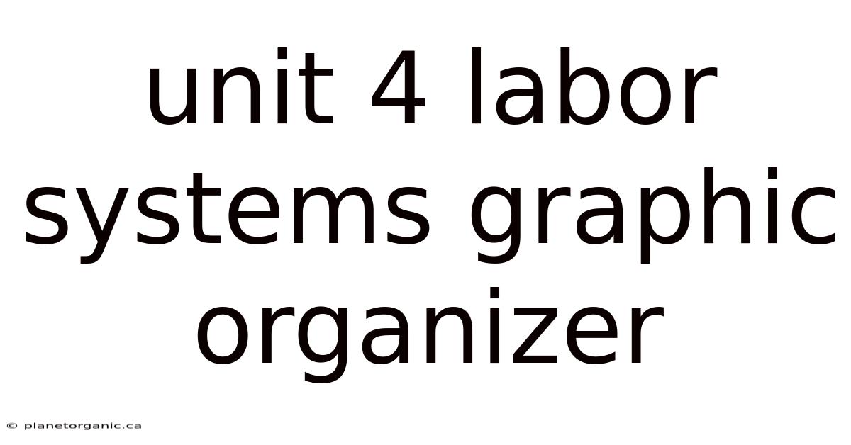Unit 4 Labor Systems Graphic Organizer