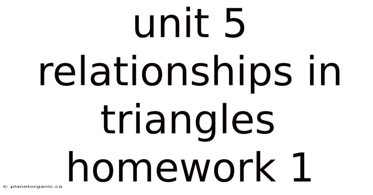 Unit 5 Relationships In Triangles Homework 1
