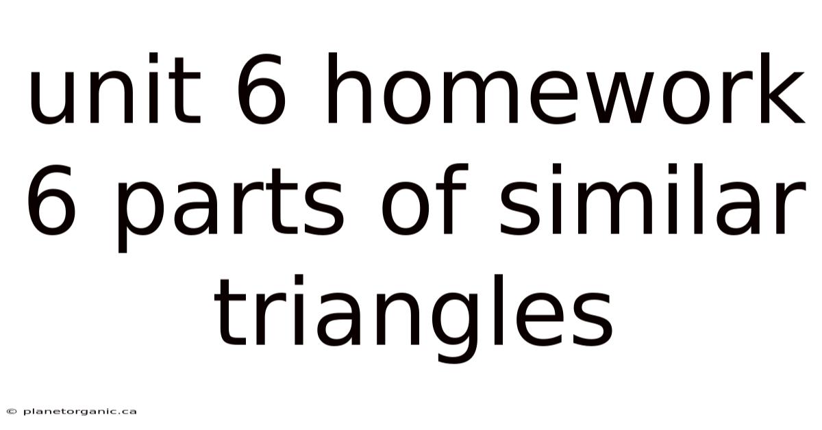 Unit 6 Homework 6 Parts Of Similar Triangles