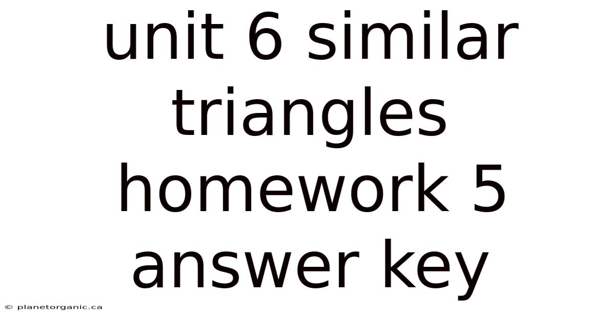 Unit 6 Similar Triangles Homework 5 Answer Key