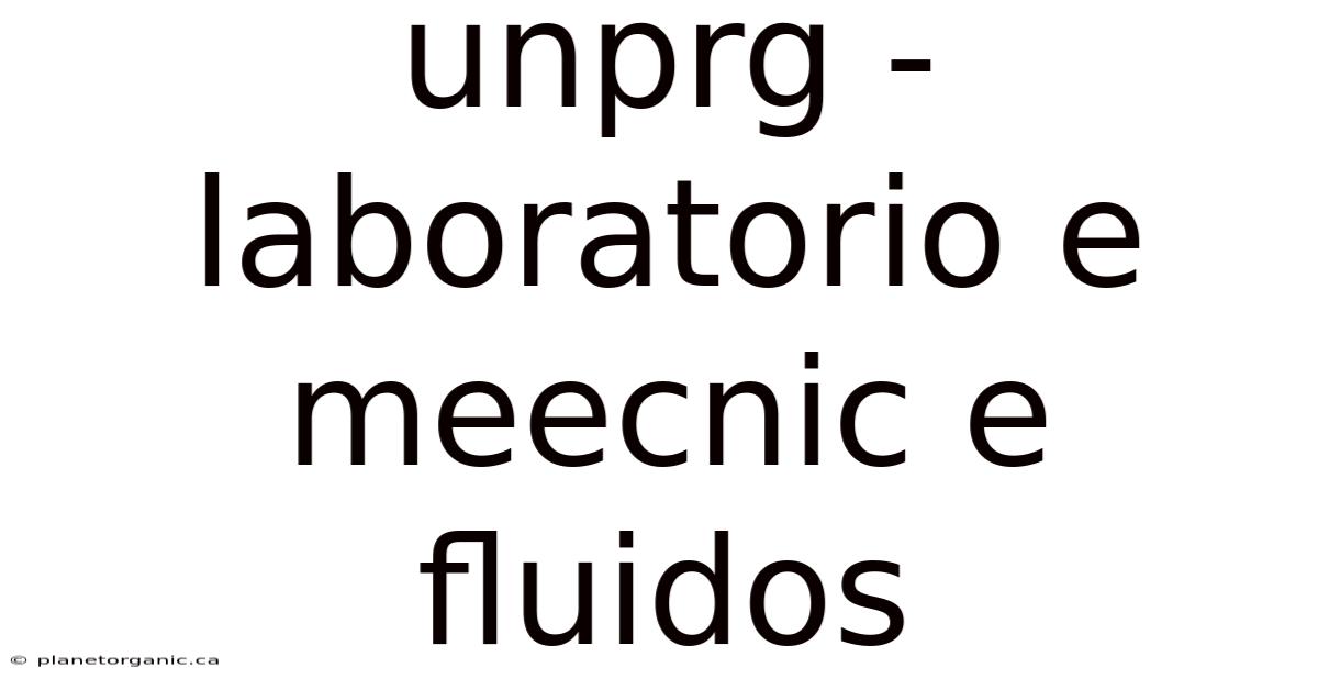 Unprg - Laboratorio E Meecnic E Fluidos