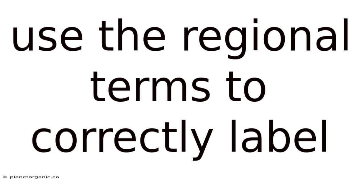 Use The Regional Terms To Correctly Label