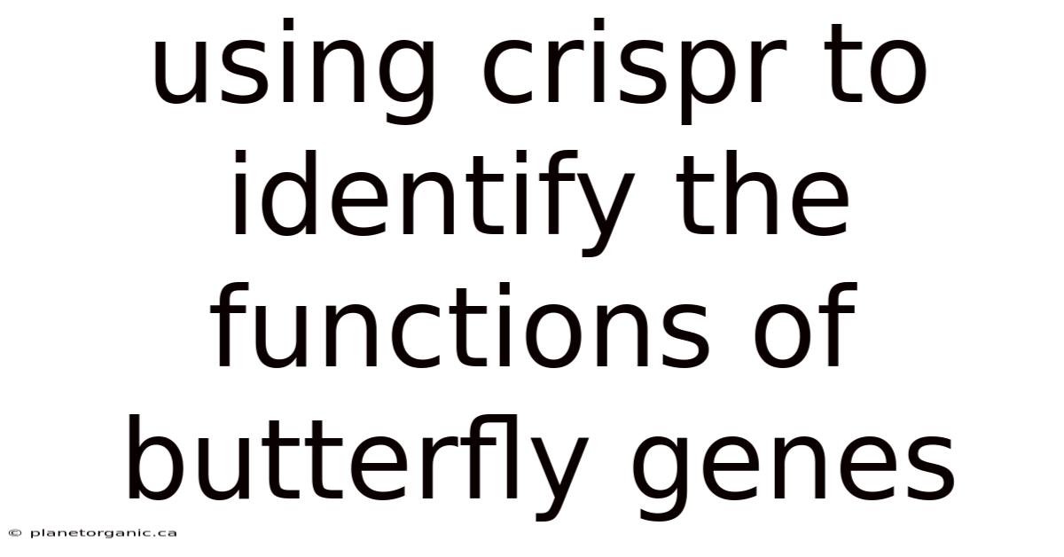 Using Crispr To Identify The Functions Of Butterfly Genes