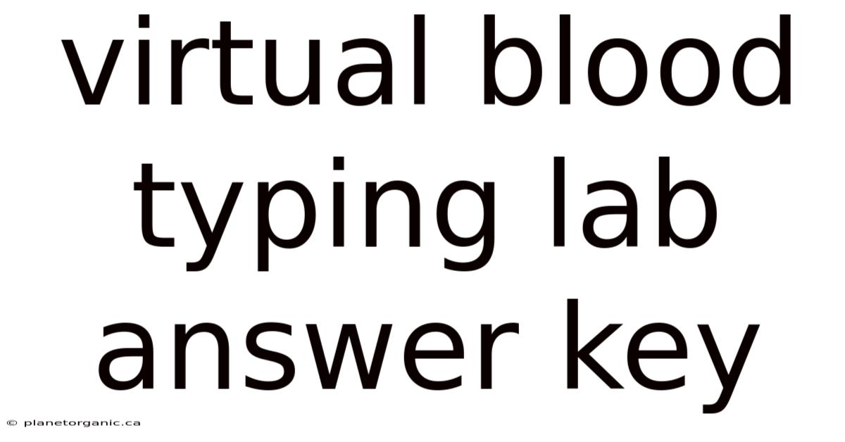 Virtual Blood Typing Lab Answer Key