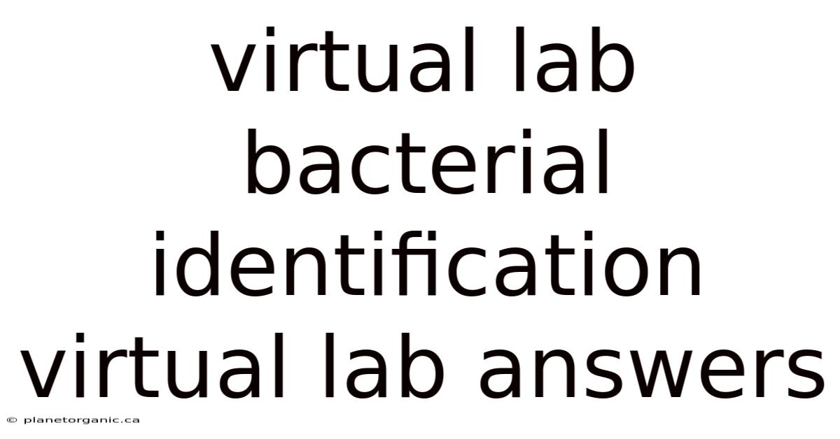 Virtual Lab Bacterial Identification Virtual Lab Answers