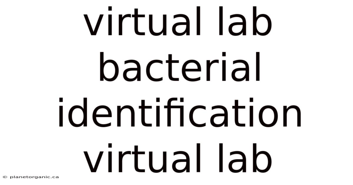 Virtual Lab Bacterial Identification Virtual Lab