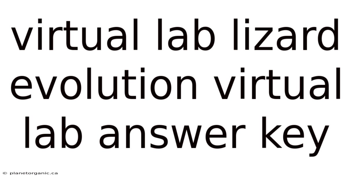 Virtual Lab Lizard Evolution Virtual Lab Answer Key