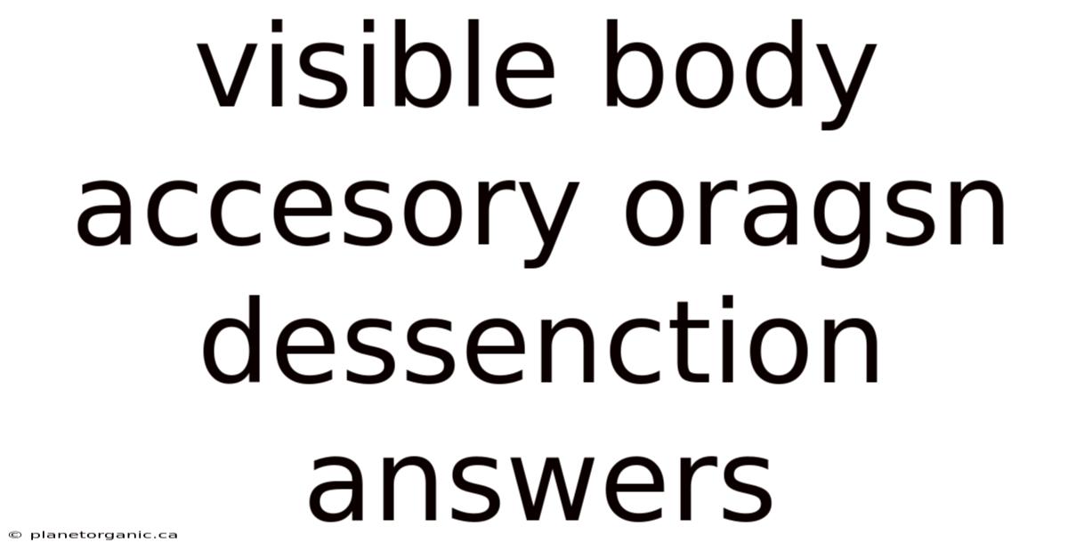Visible Body Accesory Oragsn Dessenction Answers