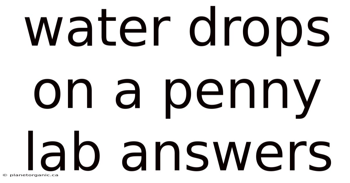 Water Drops On A Penny Lab Answers