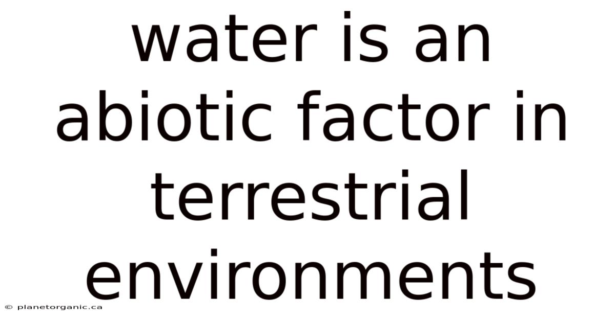 Water Is An Abiotic Factor In Terrestrial Environments