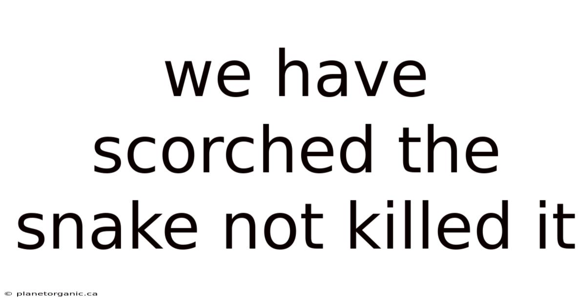 We Have Scorched The Snake Not Killed It