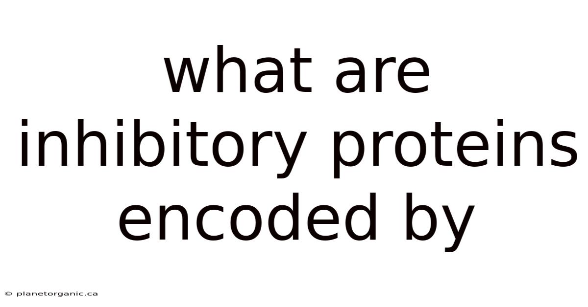 What Are Inhibitory Proteins Encoded By