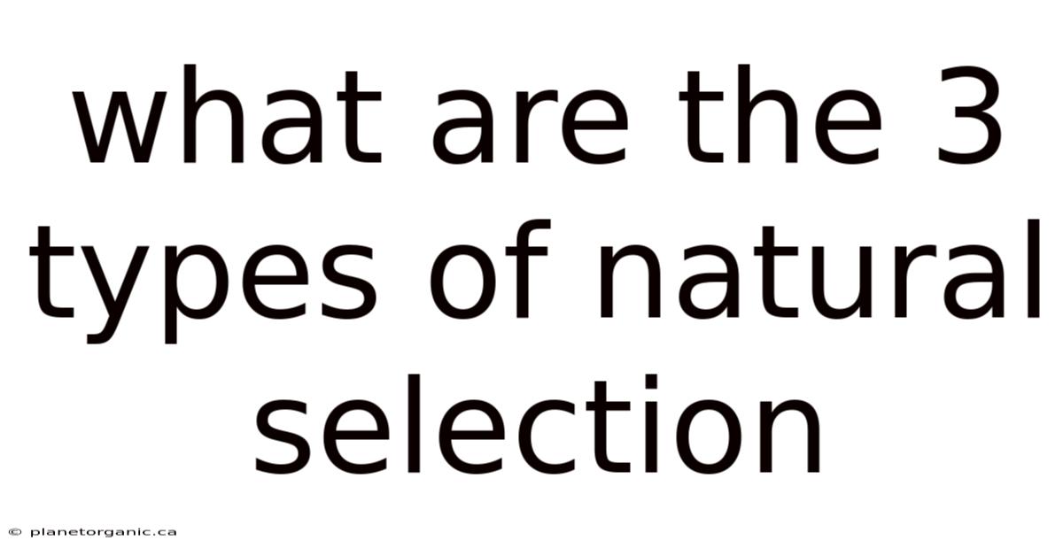 What Are The 3 Types Of Natural Selection
