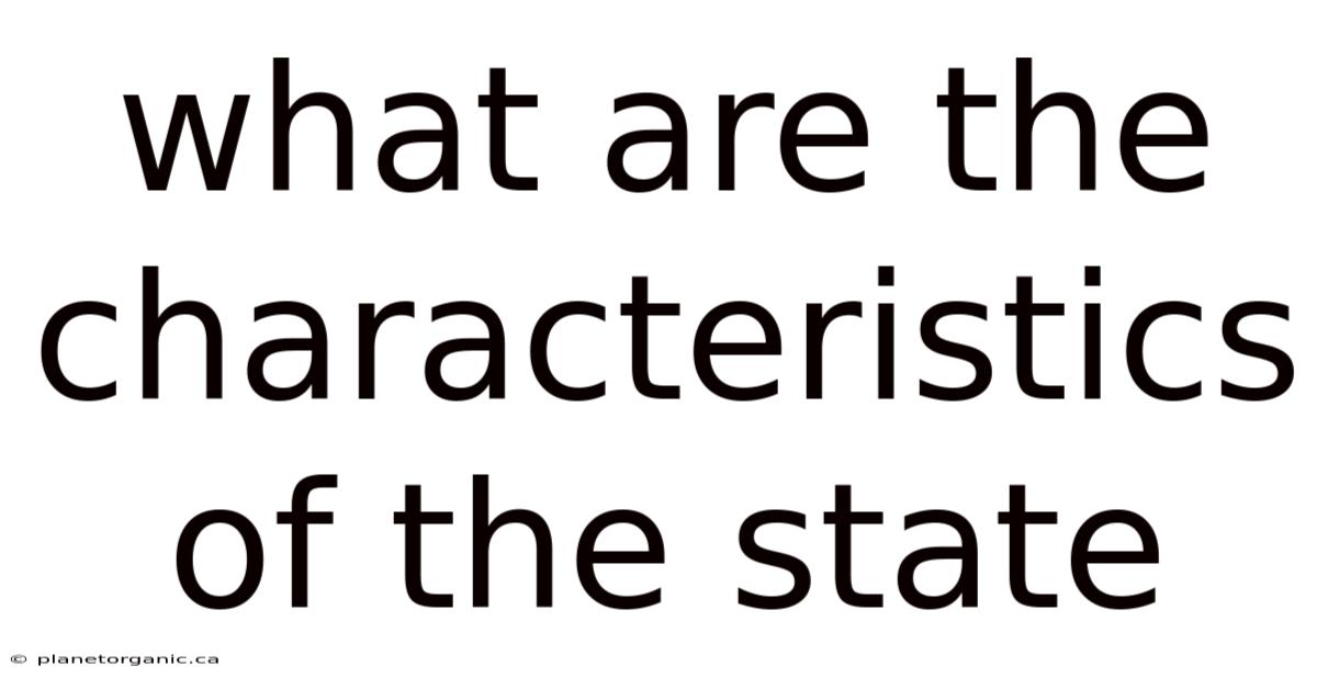 What Are The Characteristics Of The State