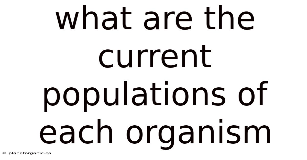 What Are The Current Populations Of Each Organism