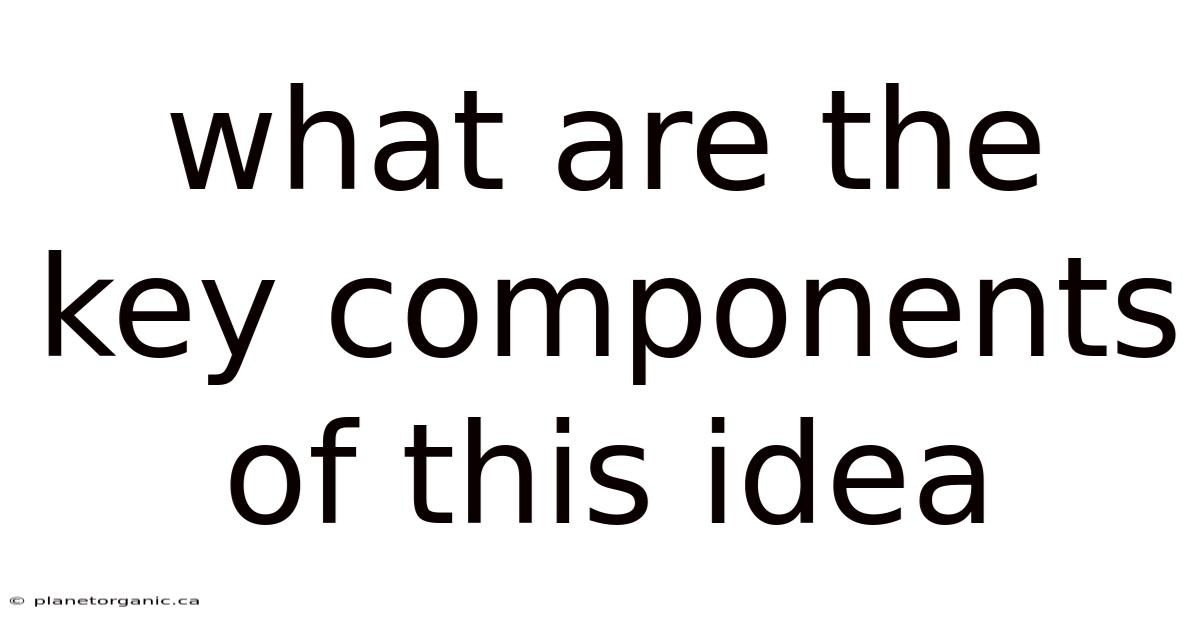 What Are The Key Components Of This Idea