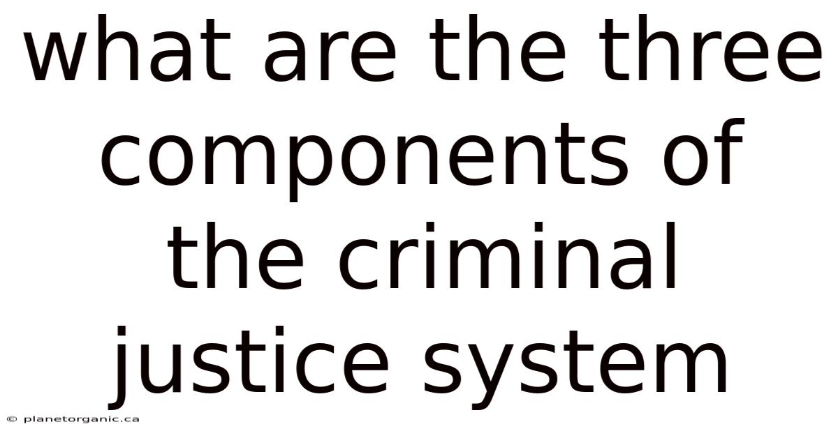 What Are The Three Components Of The Criminal Justice System
