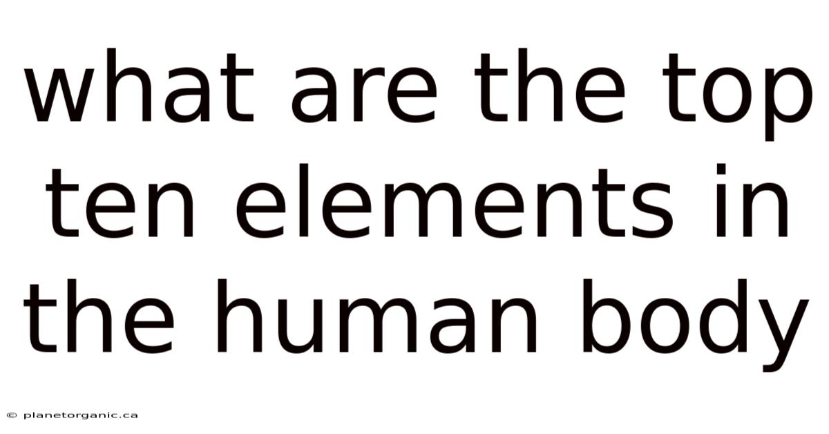 What Are The Top Ten Elements In The Human Body