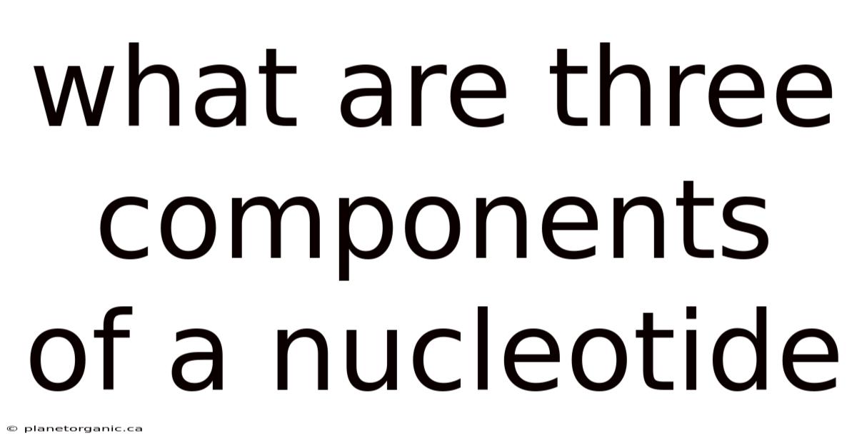 What Are Three Components Of A Nucleotide