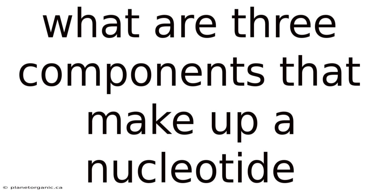 What Are Three Components That Make Up A Nucleotide