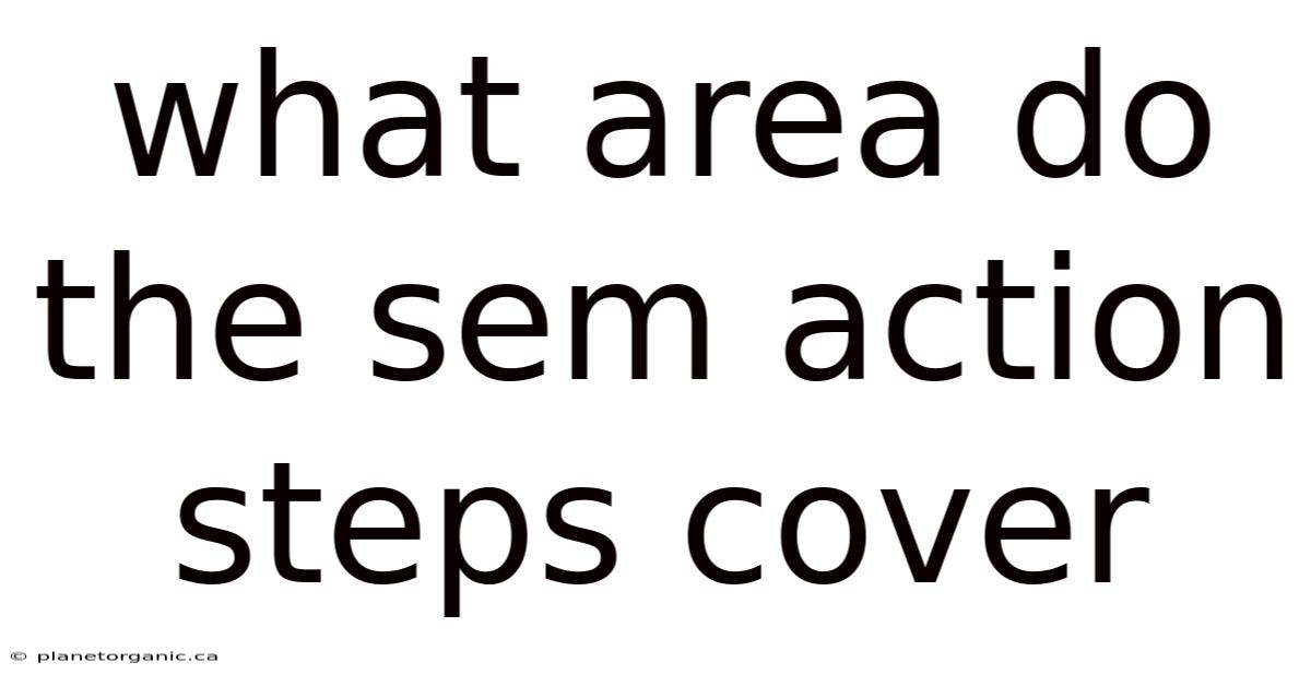 What Area Do The Sem Action Steps Cover
