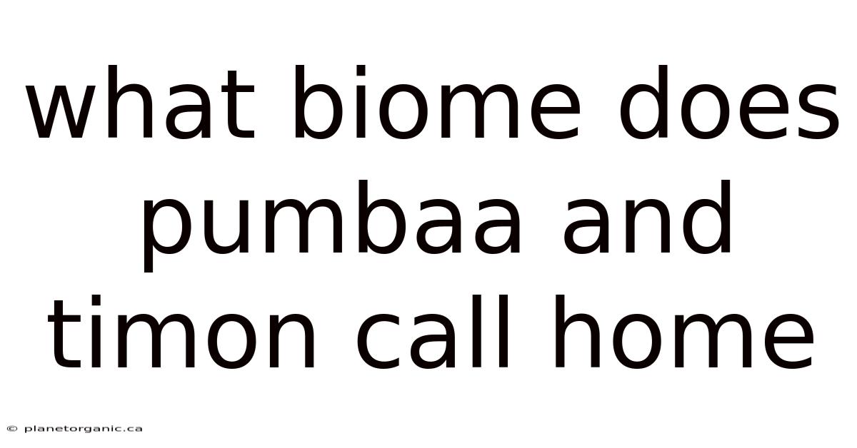 What Biome Does Pumbaa And Timon Call Home