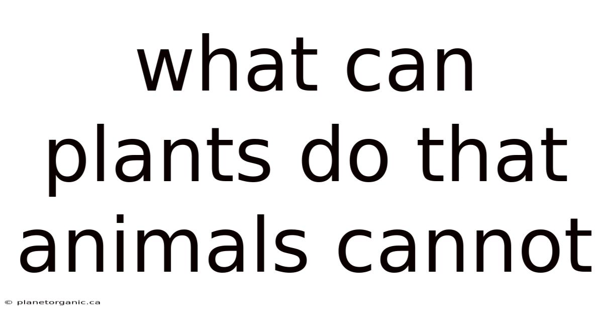 What Can Plants Do That Animals Cannot